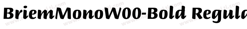 BriemMonoW00-Bold Regular Chisel No字体转换